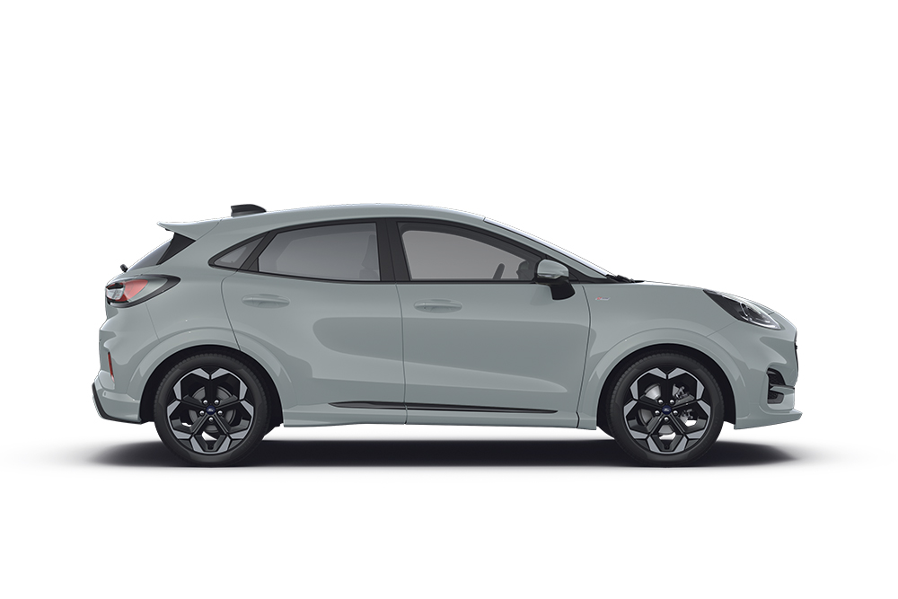 Puma argento della gamma di auto piccole Ford.