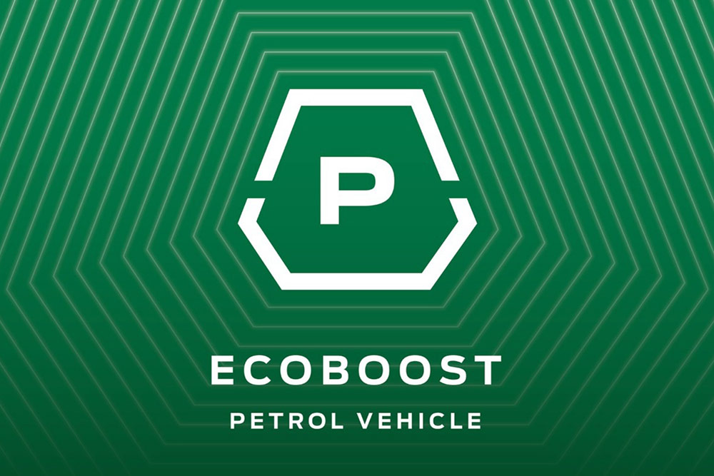 Grafica benzina EcoBoost